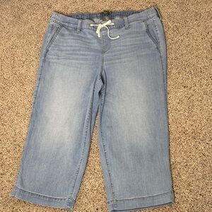 Torrid Light Blue Weekend Wide Leg Crop Super Soft Jeans Torrid Size 2